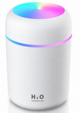 300ml USB Cool Mist Humidifier with LED Light