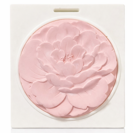 Refillable Stone Air Freshener for Car & Small Spaces