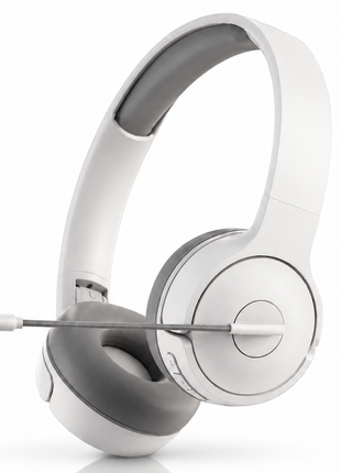 Over-Ear Gaming Headset with Boom Mic, 40 mm Drivers and 3.5 mm Multi-Platform Compatibility