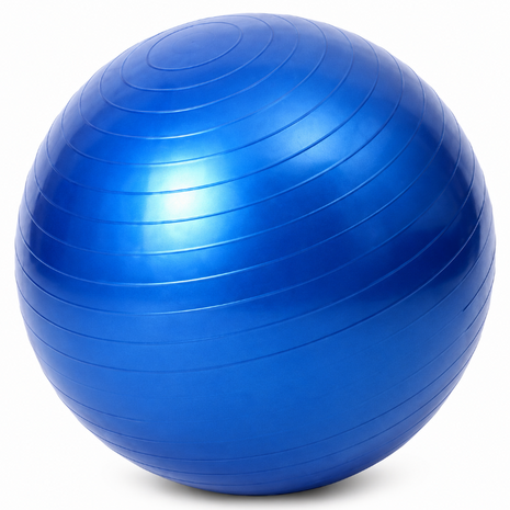 Anti-Burst Gym Body Ball  Non-Slip Exercise Ball for Yoga Pilates Core Balance Stability Training Home Workouts