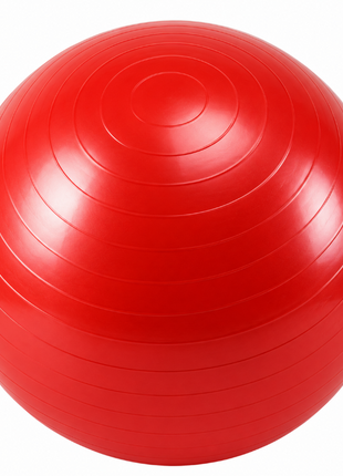Anti-Burst Gym Body Ball  Non-Slip Exercise Ball for Yoga Pilates Core Balance Stability Training Home Workouts