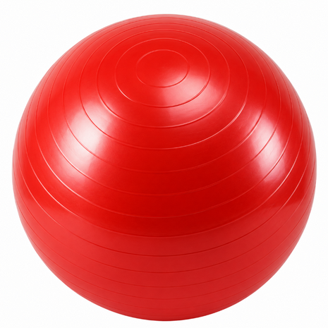 Anti-Burst Gym Body Ball  Non-Slip Exercise Ball for Yoga Pilates Core Balance Stability Training Home Workouts