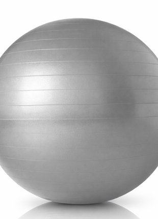 Anti-Burst Gym Body Ball  Non-Slip Exercise Ball for Yoga Pilates Core Balance Stability Training Home Workouts