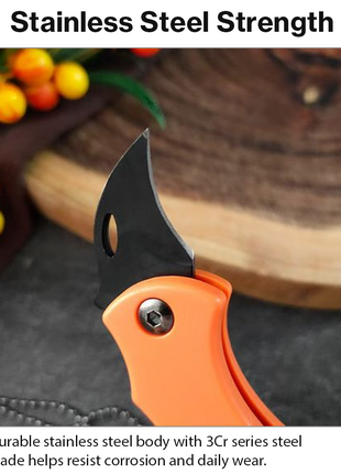 Portable Folding Keychain Survival Knife Stainless Steel Mini Utility Tool with Carabiner Emergency EDC