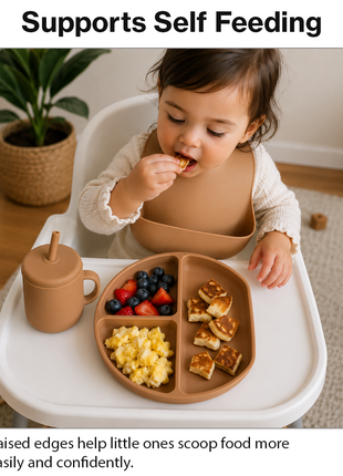 Silicone Suction Divided Plate for Toddlers