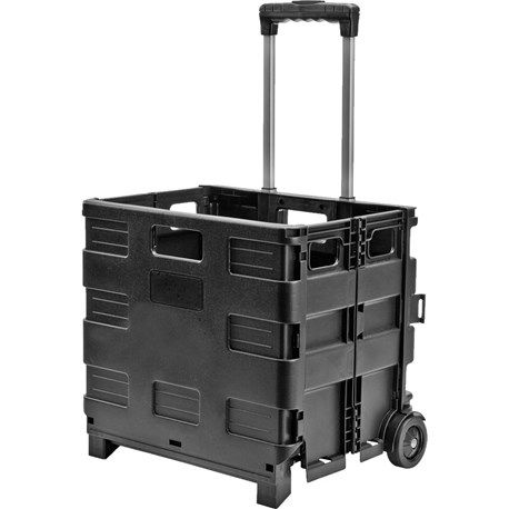 Foldable Plastic Trolley Cart 25kg Capacity with Telescopic Handle and Rubber Wheels – Black
