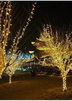 100 LED 10 m Multi-Function String Lights, 55 W Decorative Lights for Christmas, Weddings, Parties & Indoor Seasonal Decoration