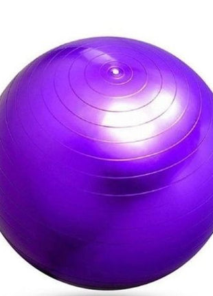 Anti-Burst Gym Body Ball  Non-Slip Exercise Ball for Yoga Pilates Core Balance Stability Training Home Workouts