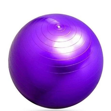 Anti-Burst Gym Body Ball  Non-Slip Exercise Ball for Yoga Pilates Core Balance Stability Training Home Workouts