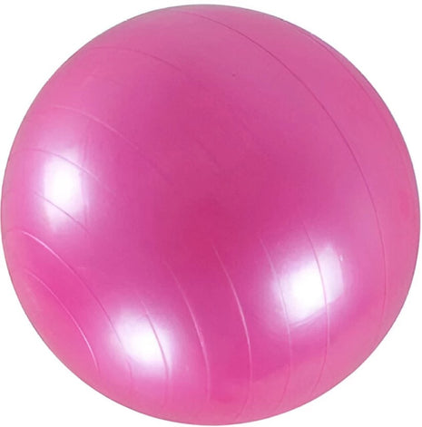 Anti-Burst Gym Body Ball  Non-Slip Exercise Ball for Yoga Pilates Core Balance Stability Training Home Workouts