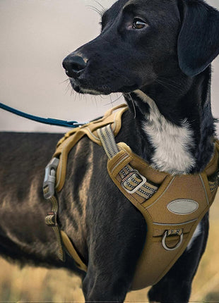 Tactical Dog Harness Medium Oxford Nylon with Dual D-Rings & Quick-Release
