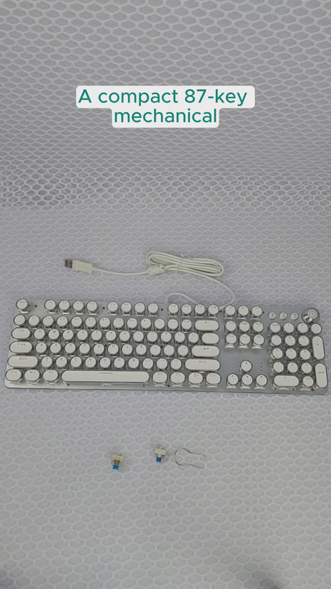 Mechanical Keyboard 87-Key – RGB Backlit Aluminum Keycaps – Blue Switch – Volume Knob – USB Wired – Steampunk Style – Silver