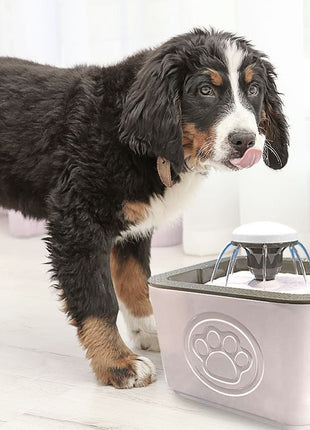 2.5L Automatic Pet Water Fountain – BPA-Free, 3 Flow Modes, USB Powered, Quiet Pump, Includes Filters, for Dogs and Cats